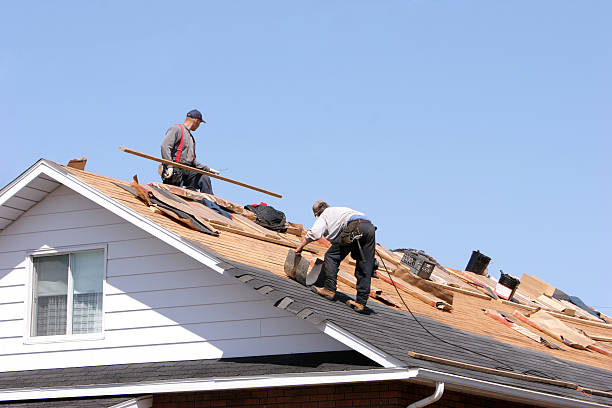 Best Gutter Installation and Repair  in New Burlington, OH